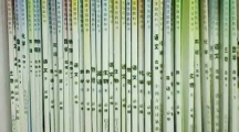 什么样的学生，容易被重点大学录取？