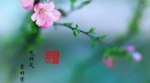 看完中国诗词大会，好想用诗句来狠狠赞美一下“春”！